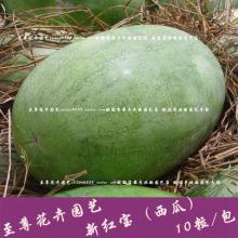 热门新瓜最新,热门新瓜引爆网络热议！