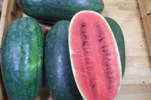 黑瓜吃料网 张津渝,黑瓜吃料网背后的美食探索之旅