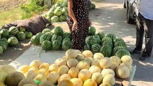 629吃瓜热门,网络热议背后的真相与反思