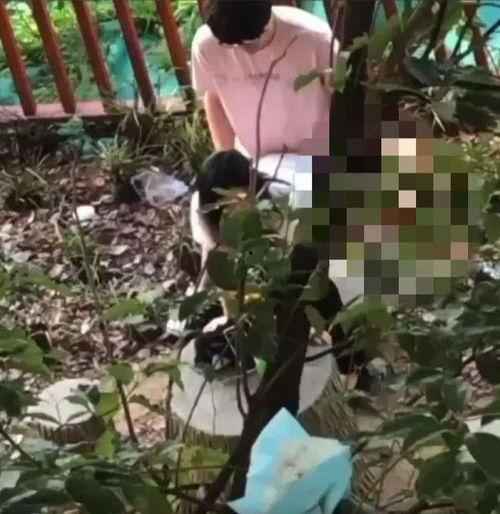 近期大学热门瓜,揭秘近期大学热门瓜之幕后真相