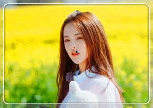 明星网红拍网剧,网红效应引领影视新潮流