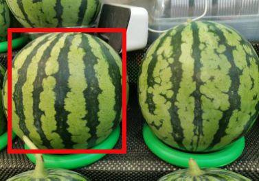 热门瓜息推荐,明星幕后故事大曝光！