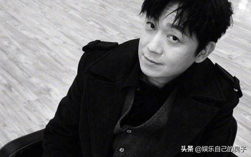 明星网红男款,明星网红男款时尚解析