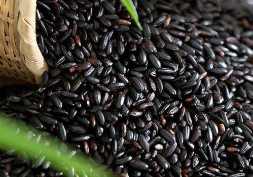 51黑瓜吃料网入口密码,解锁神秘资讯的钥匙