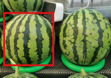 吃瓜网络热门,热门事件背后的真相与笑料