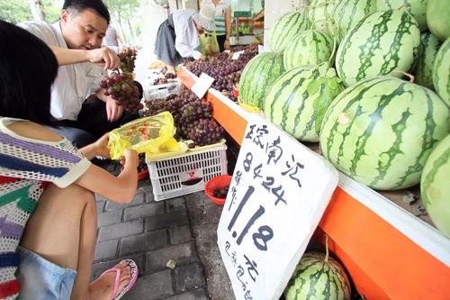 51今日黑瓜吃料爆料155,揭秘155背后的惊人真相