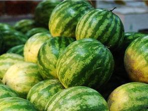 启海热门瓜,揭秘热门瓜背后的真相与内幕