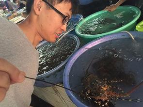 海角吃瓜黑料在哪里买,独家购买渠道大公开