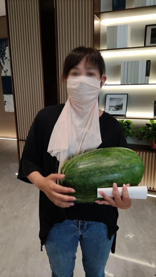 最全热门大瓜,揭秘明星幕后故事