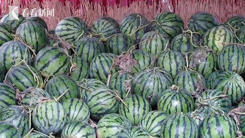 dy热门大瓜,揭秘娱乐圈最新劲爆事件