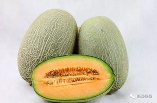 临海今日吃瓜事件最新进展,最新进展揭秘，真相逐渐浮出水面