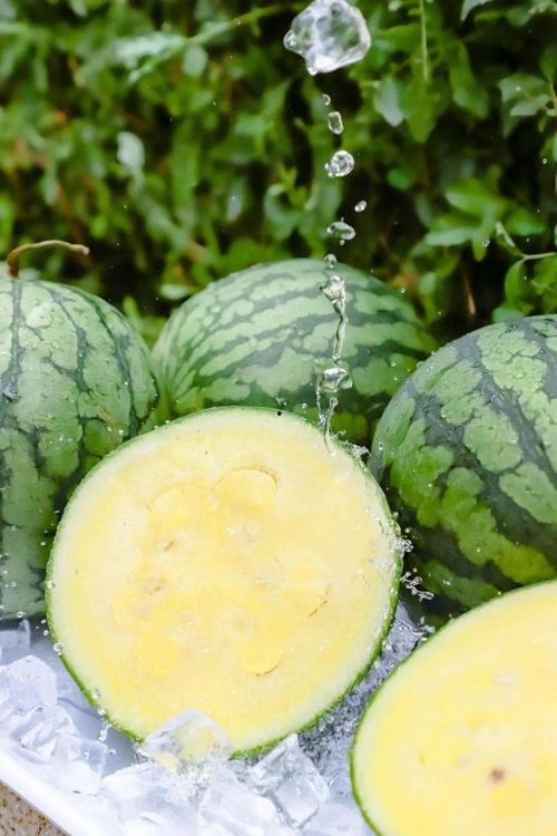 黑料正能量51吃瓜下载,揭秘吃瓜下载背后的故事