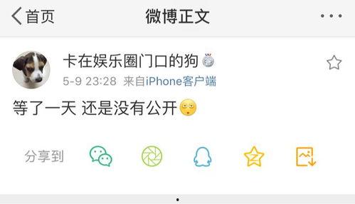 718.sx吃瓜爆料,揭秘娱乐圈最新热点事件