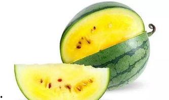 潍坊吃瓜爆料事件,揭秘网络舆论背后的真相与争议