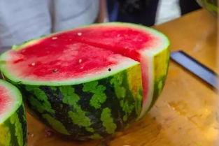 黑交院南校区宿舍吃瓜,吃瓜群众的欢乐日常揭秘”