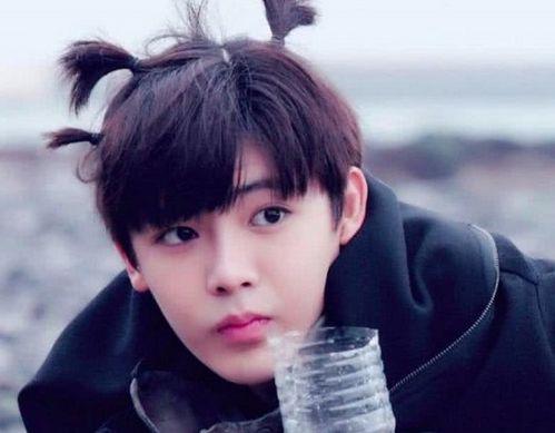 00年明星网红,明星网红的崛起与时代印记