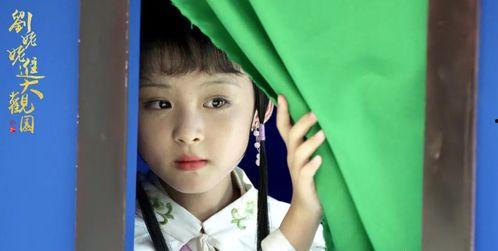 00年明星网红,明星网红的崛起与时代印记