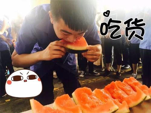 娱乐圈吃瓜文具有哪些名字,那些让人津津乐道的吃瓜文名字大起底