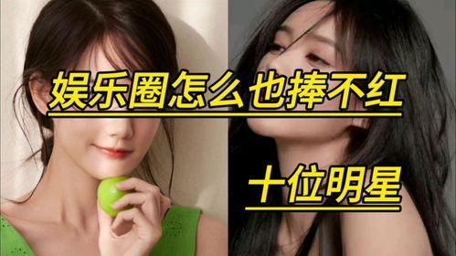 怎么评价明星网红,明星网红现象的社会影响与价值探讨