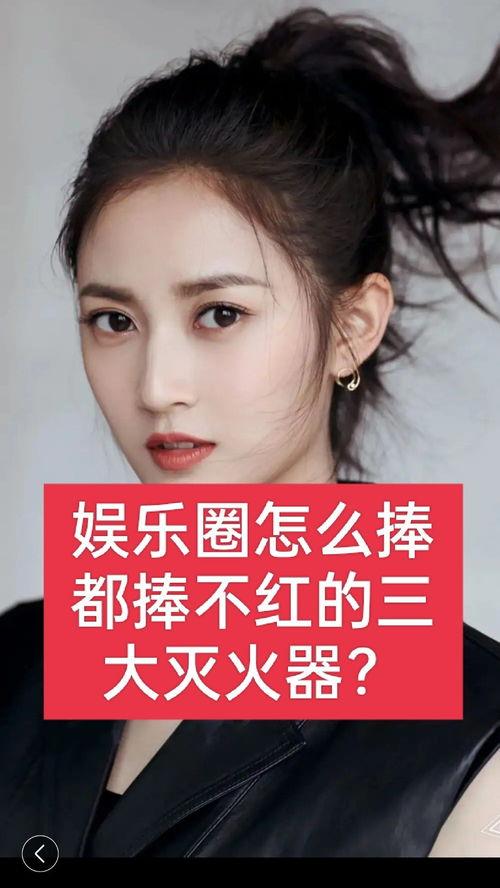 怎么评价明星网红,明星网红现象的社会影响与价值探讨