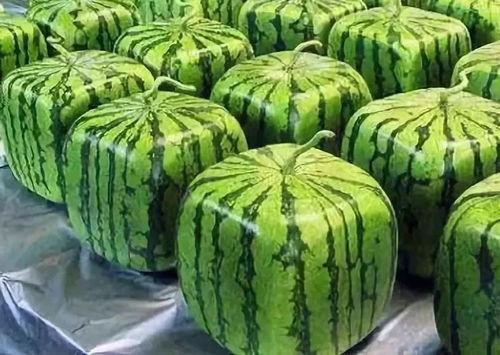 吃瓜爆料群的来源,网络舆论场中的神秘力量