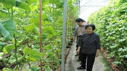 惠州今日吃瓜事件真相是真的吗,惠州今日吃瓜事件真相揭秘