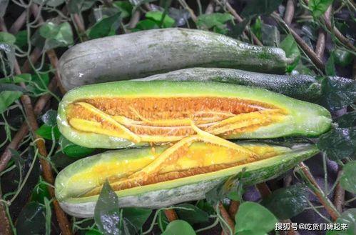 网红吃瓜爆料入口,揭秘娱乐圈幕后真相