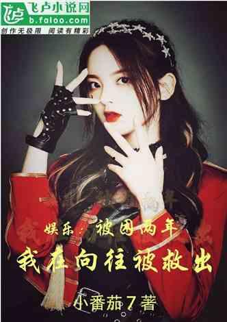 开局明星网红小说