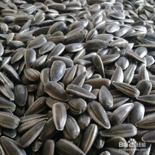 孕晚期可以吃黑瓜子瓜吗,黑瓜子，孕妇的“小零食”还是禁忌？