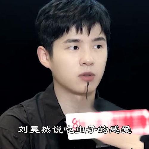 刘昊然吃瓜爆料,娱乐圈幕后真相大揭秘