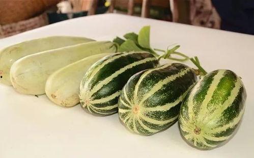 各类网红爆料吃瓜,娱乐圈吃瓜大揭秘，明星幕后故事全曝光！