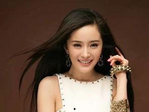 人人想当明星网红,揭秘当红明星网红背后的故事