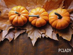 黑科技吃瓜是什么意思,网络热词背后的科技与娱乐融合现象