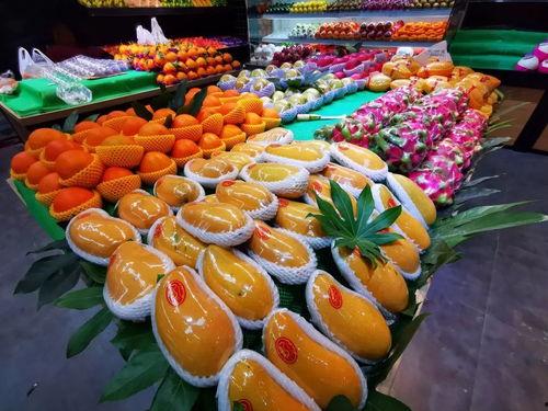 成都彩虹吃瓜爆料视频,揭秘网红美食背后的故事