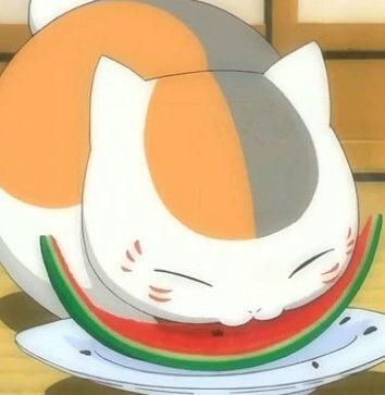 喵小吉吃瓜爆料,娱乐圈最新瓜料大揭秘