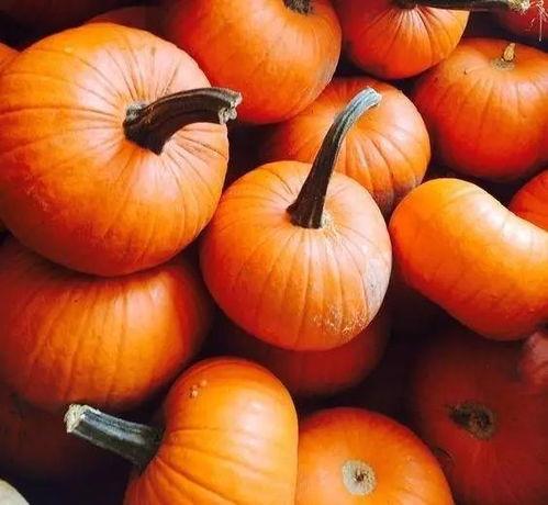 血糖高可以吃黑瓜不,天然甜味，健康选择