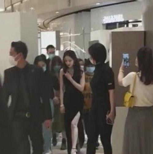 偶遇明星网红视频,镜头下的惊喜瞬间