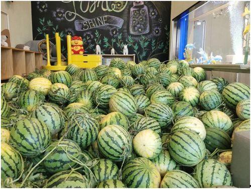 瓜瓜今天吃瓜最新爆料,揭秘娱乐圈最新爆料大揭秘