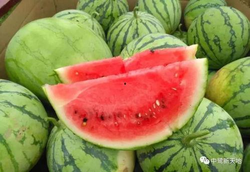 瓜瓜今天吃瓜最新爆料,揭秘娱乐圈最新爆料大揭秘